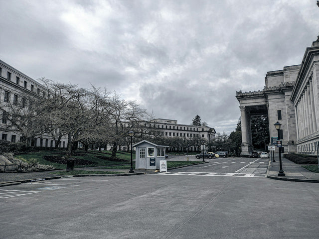 A city street under an overcast sky, almost entirely gray